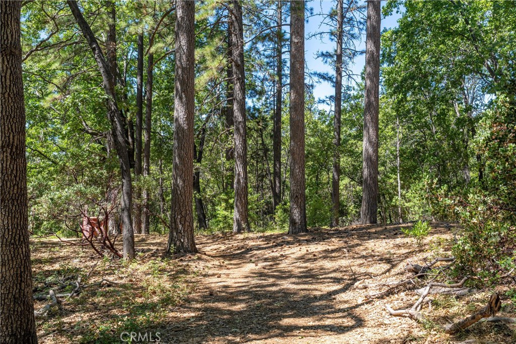 0 Knolls Property Photo 21