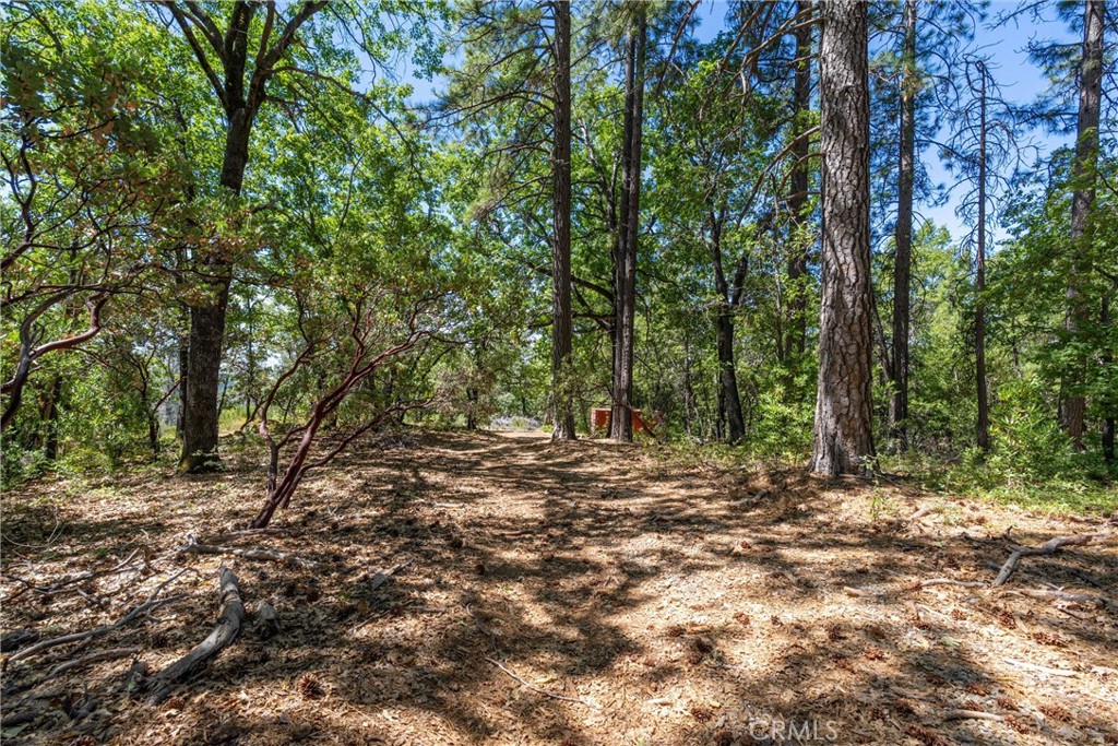 0 Knolls Property Photo 22