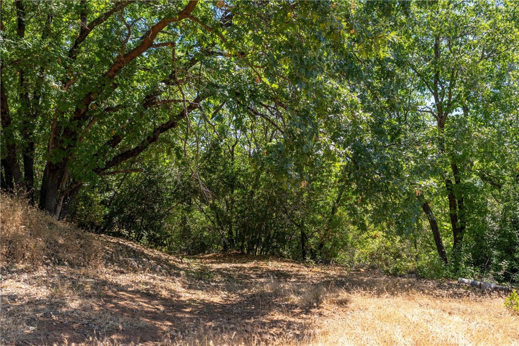0 Knolls Property Photo 38