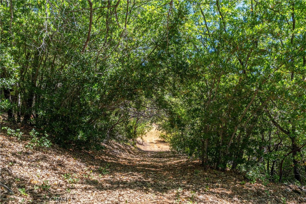 0 Knolls Property Photo 40