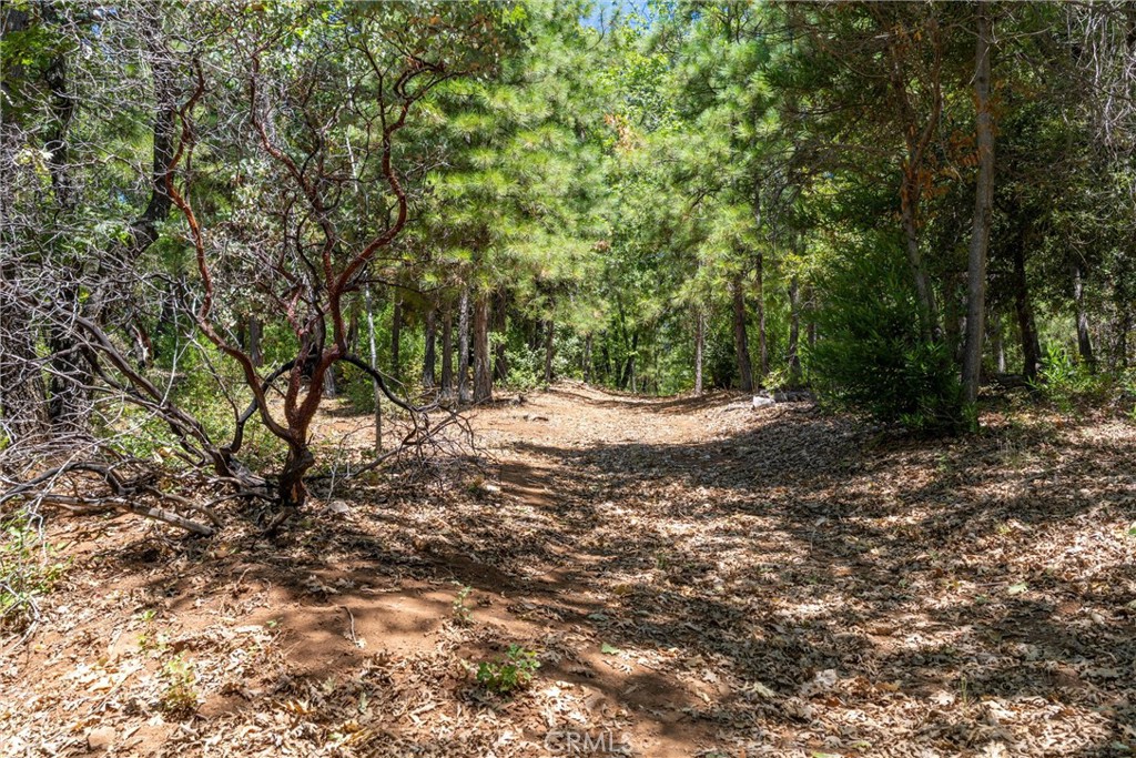 0 Knolls Property Photo 53