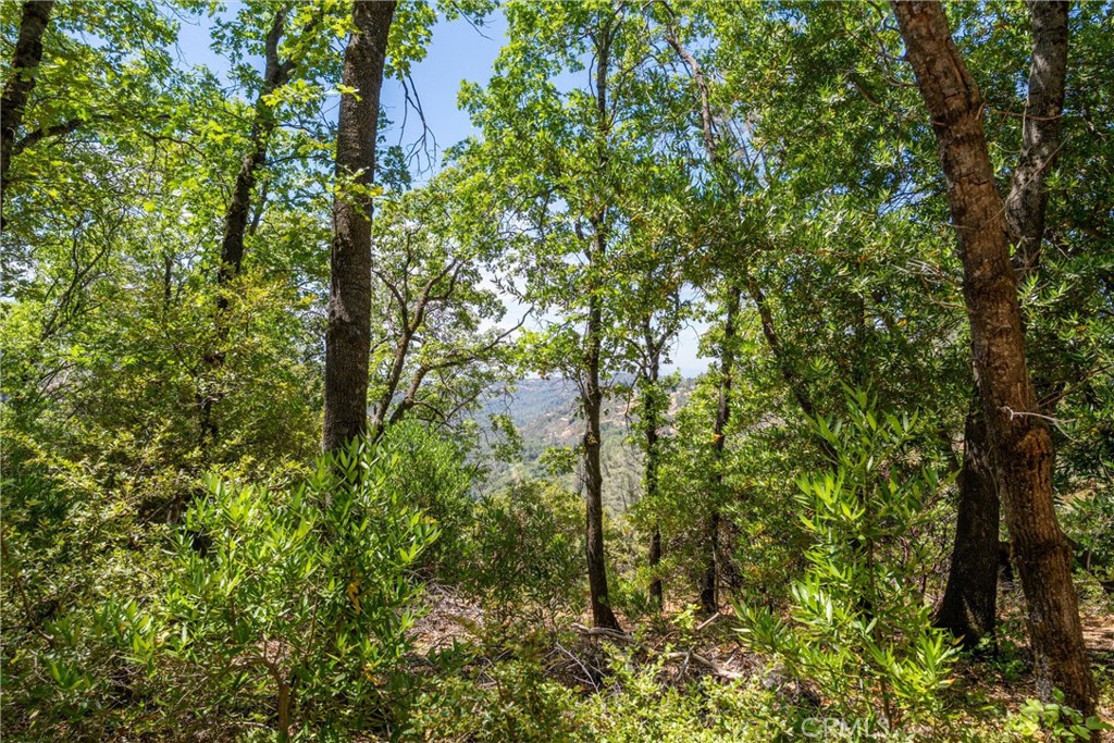 0 Knolls Property Photo 55