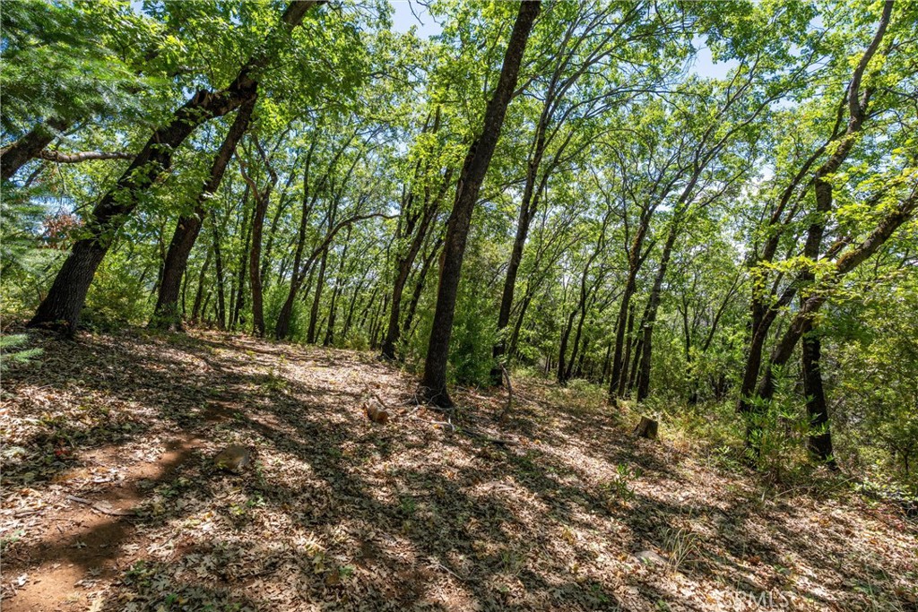0 Knolls Property Photo 56