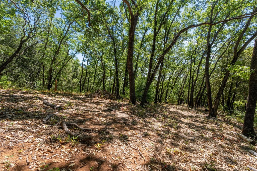 0 Knolls Property Photo 57