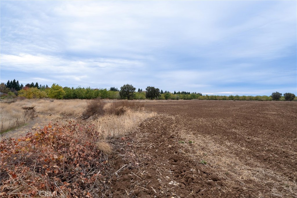 0 Garner Lane Property Photo 10