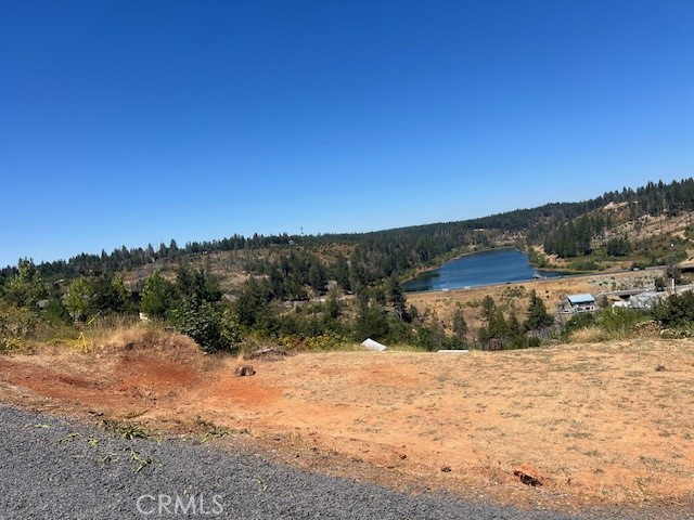 13807 Sugar Pine Drive Property Photo 1