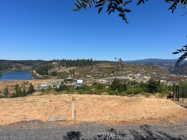 13807 Sugar Pine Drive Property Photo 2
