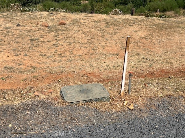 13807 Sugar Pine Drive Property Photo 4