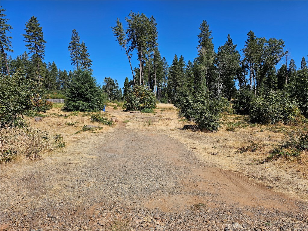 1533 Forest Service Rd Property Photo 1