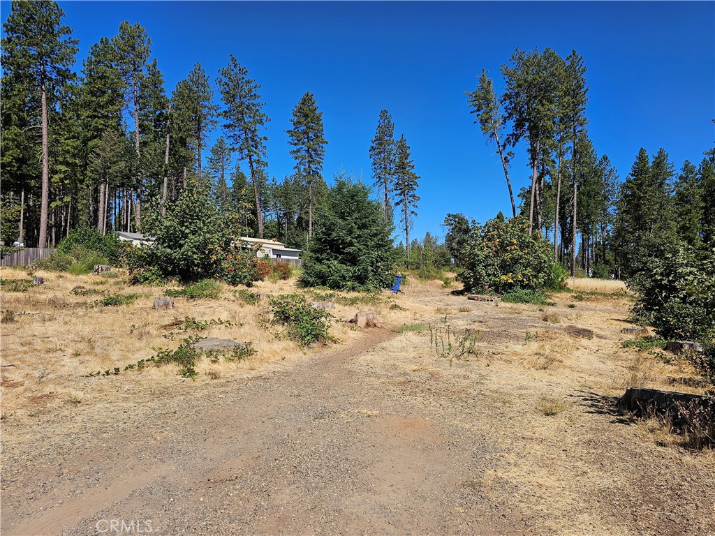 1533 Forest Service Rd Property Photo 2