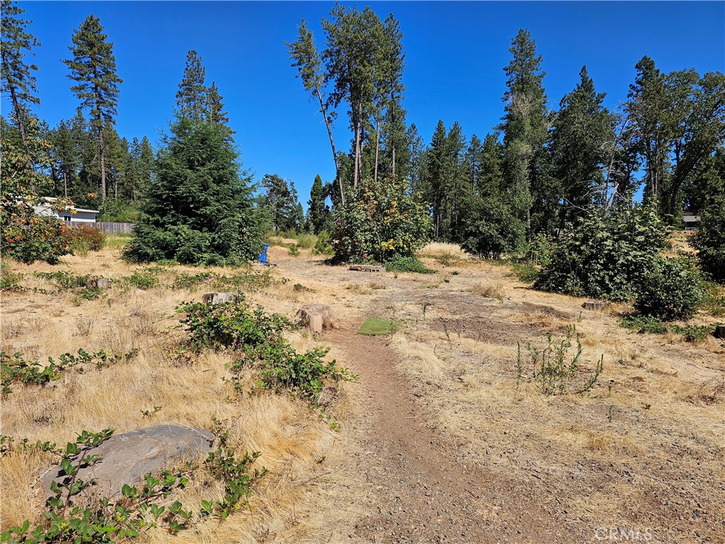 1533 Forest Service Rd Property Photo 3