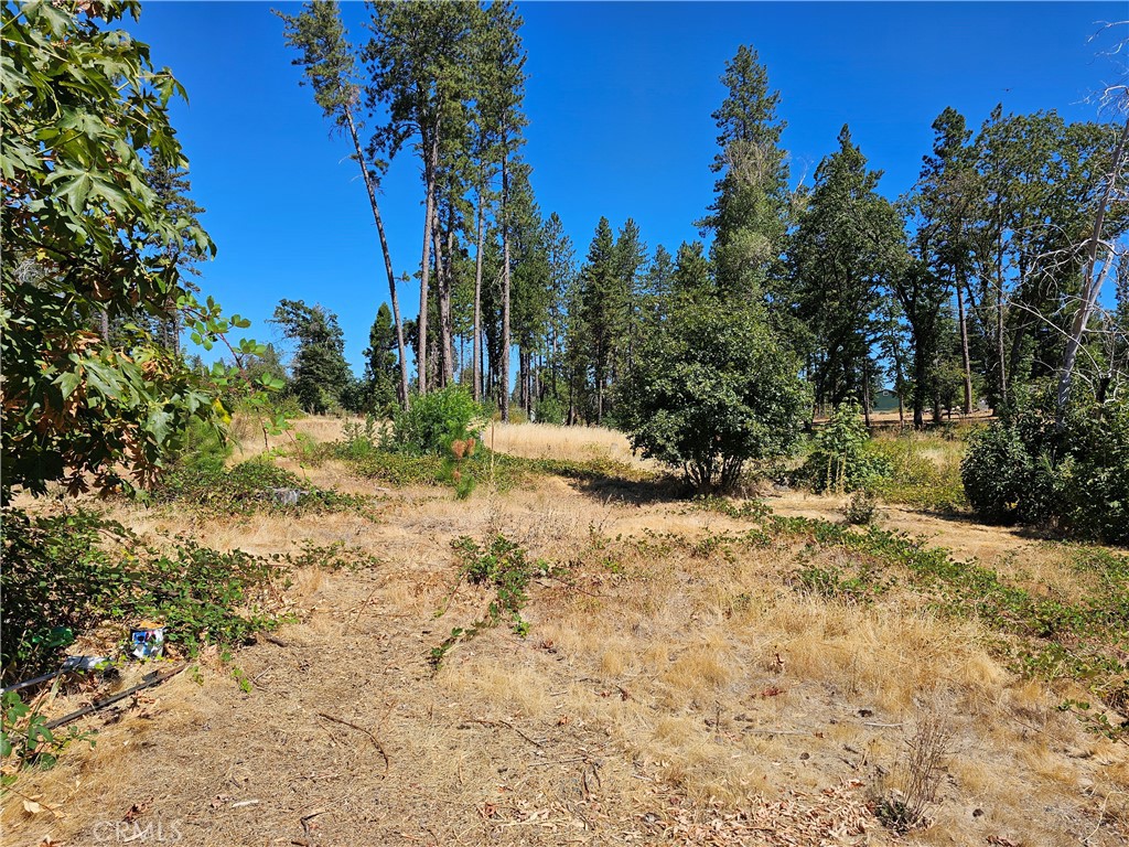 1533 Forest Service Rd Property Photo 4