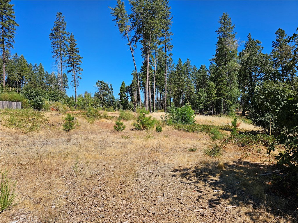 1533 Forest Service Rd Property Photo 5