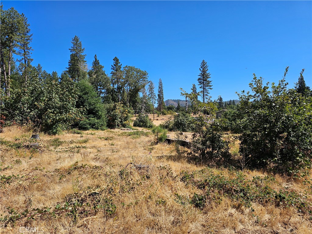 1533 Forest Service Rd Property Photo 6