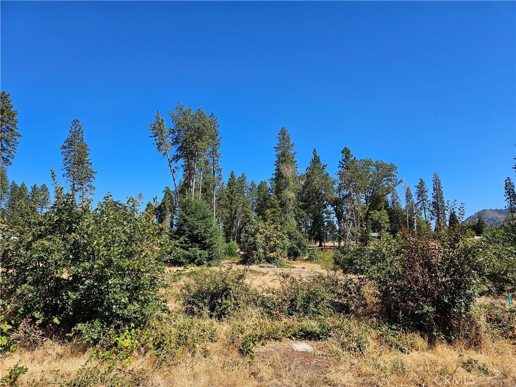 1533 Forest Service Rd Property Photo 7
