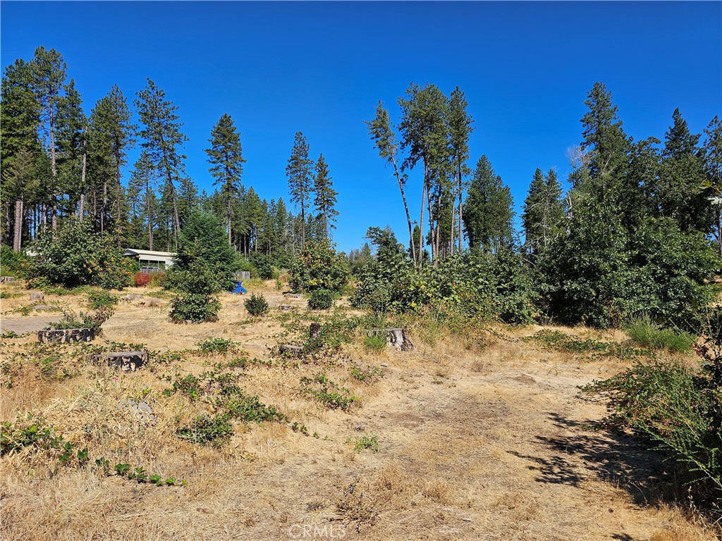 1533 Forest Service Rd Property Photo 8