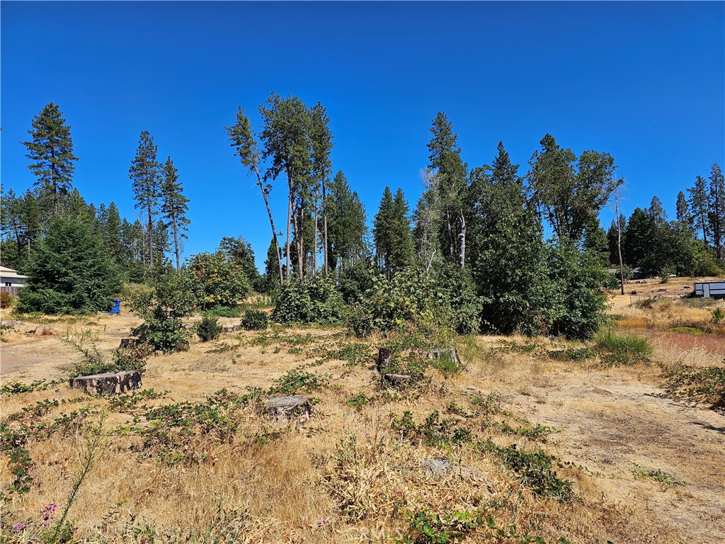 1533 Forest Service Rd Property Photo 9