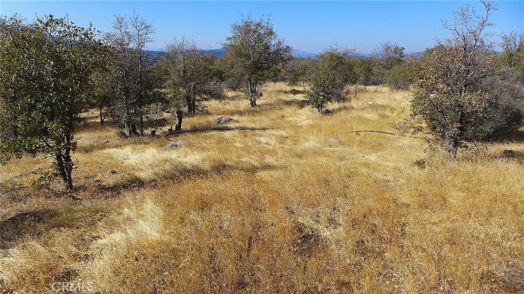 0 Crestline Drive Property Photo 8