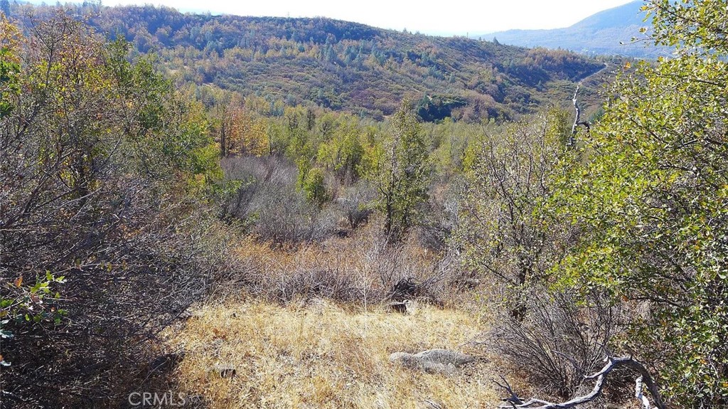 0 Crestline Drive Property Photo 9