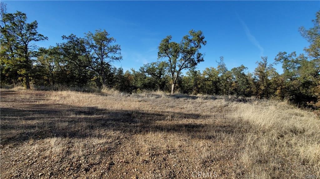 17435 Quail Ridge Road