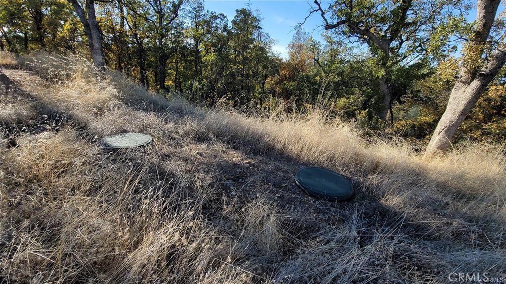17435 Quail Ridge Road Property Photo 6