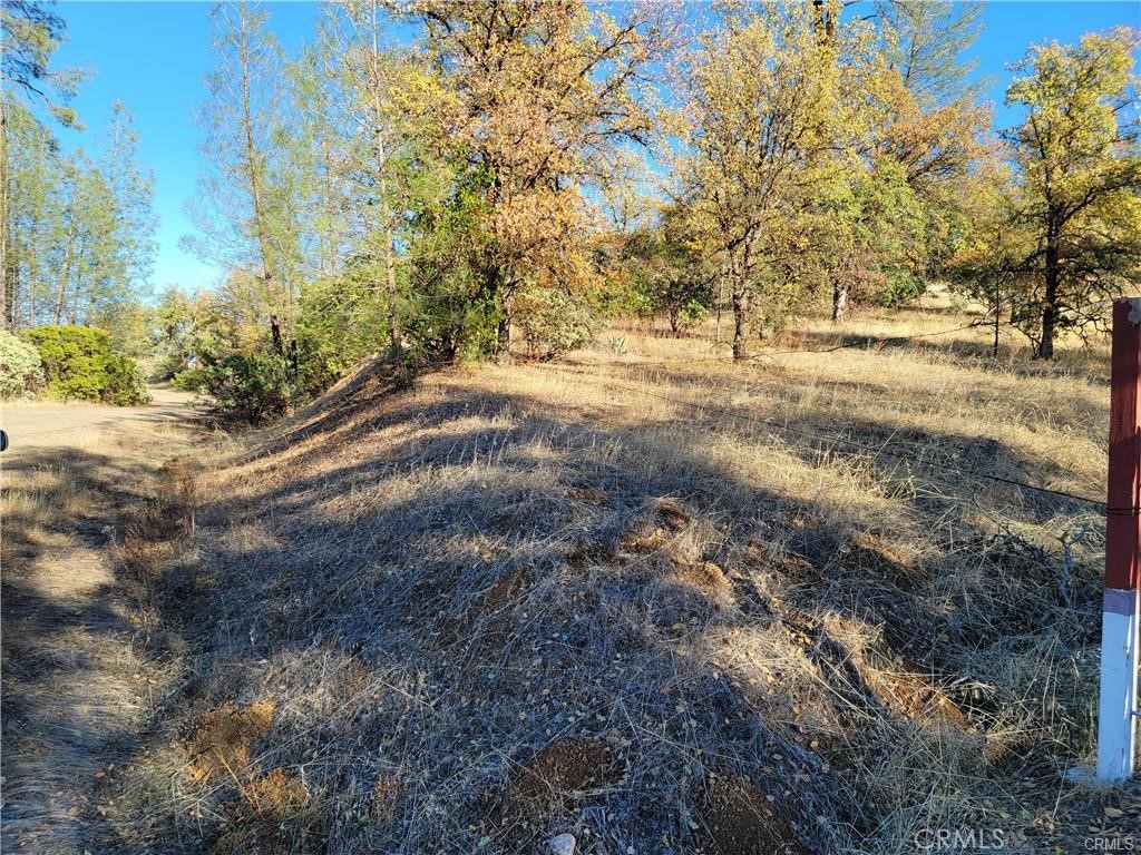 17435 Quail Ridge Road Property Photo 7