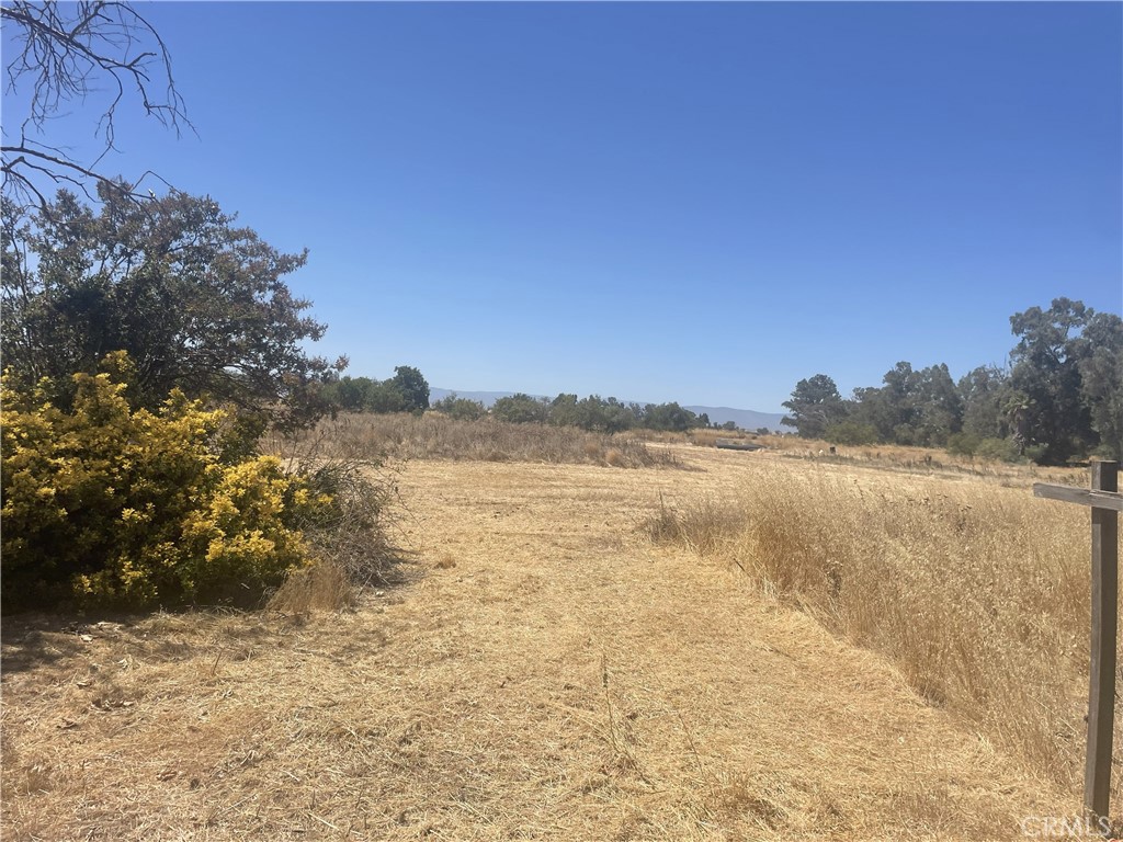 3953 Co Rd 99 Property Photo 3