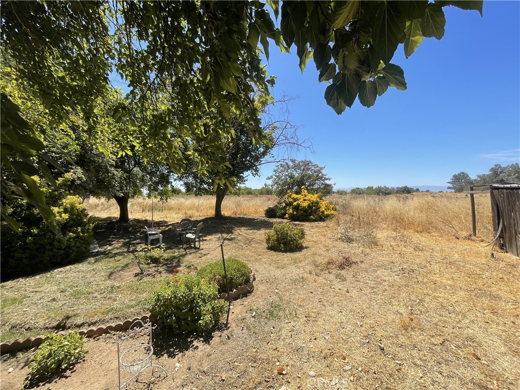 3953 Co Rd 99 Property Photo 4