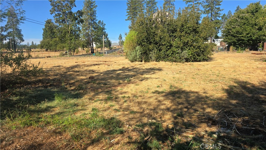 1833 Stark Lane Property Photo 3