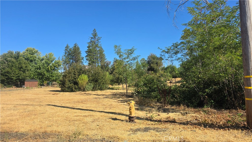 1833 Stark Lane Property Photo 4