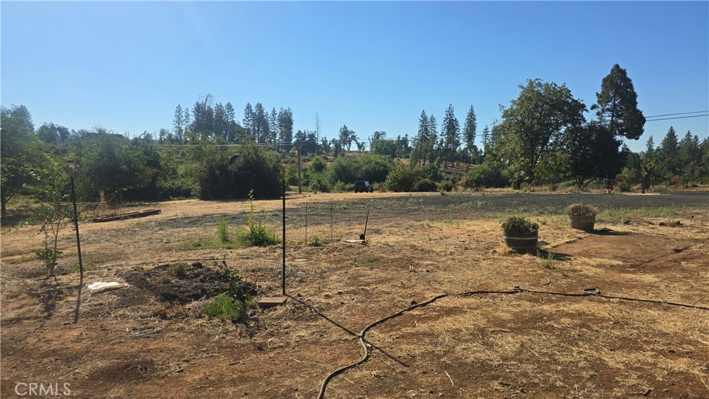 1833 Stark Lane Property Photo 10