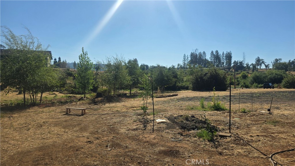 1833 Stark Lane Property Photo 11