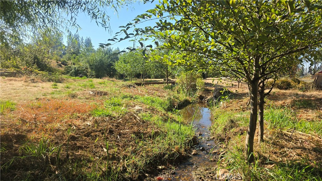 1833 Stark Lane Property Photo 18