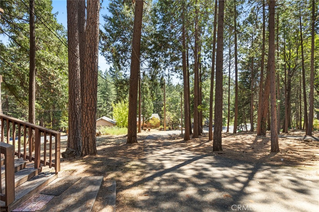 14492 Carnegie Road Property Photo 20
