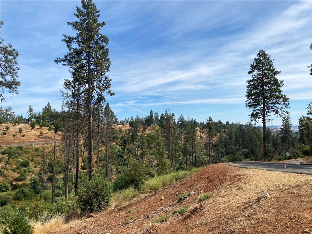 0 Stearns Road Property Photo 2