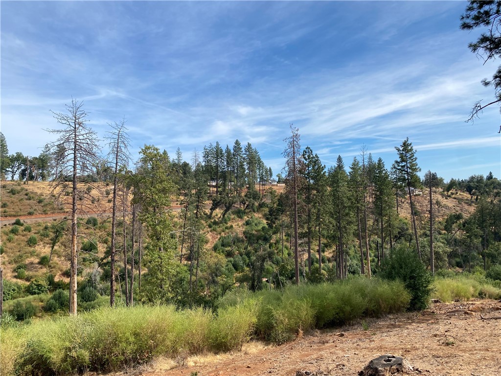 0 Stearns Road Property Photo 3
