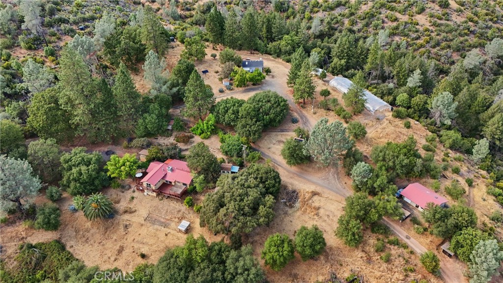 10294 Red Eye Road Property Photo 3