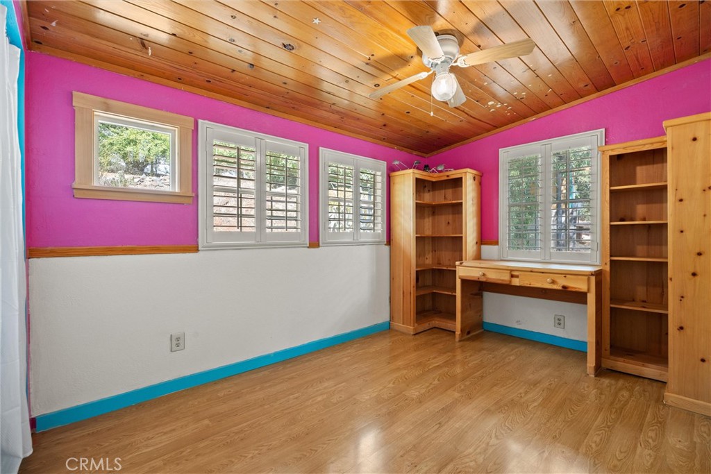 10294 Red Eye Road Property Photo 23