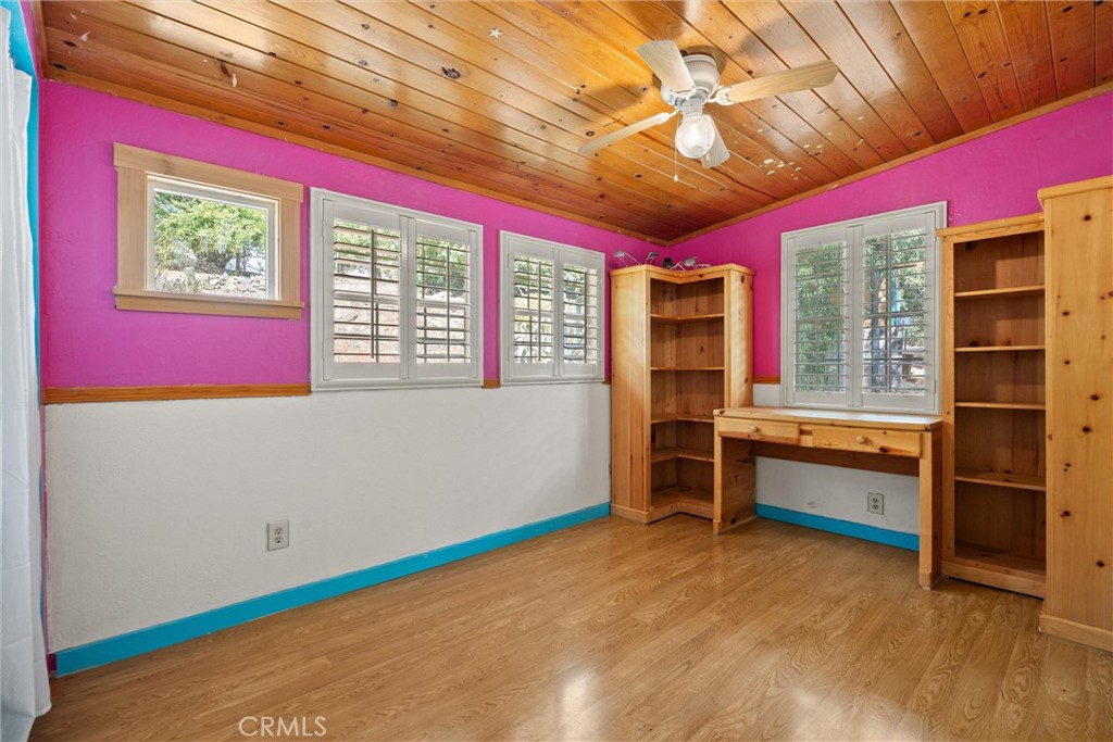 10294 Red Eye Road Property Photo 23