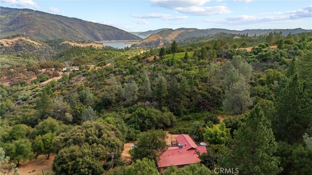 10294 Red Eye Road Property Photo 42