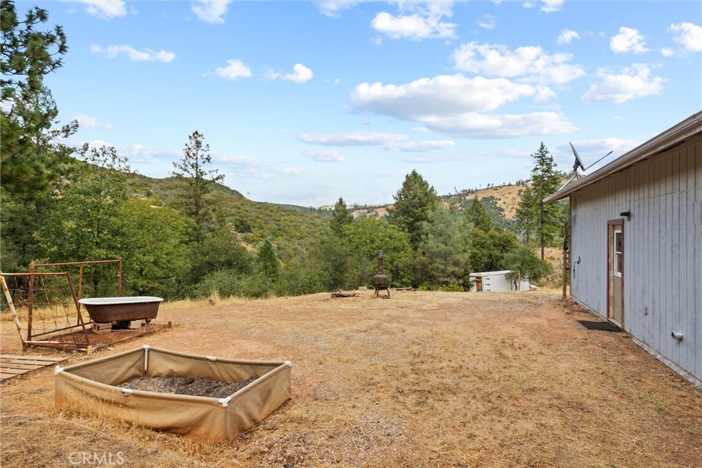 10294 Red Eye Road Property Photo 49