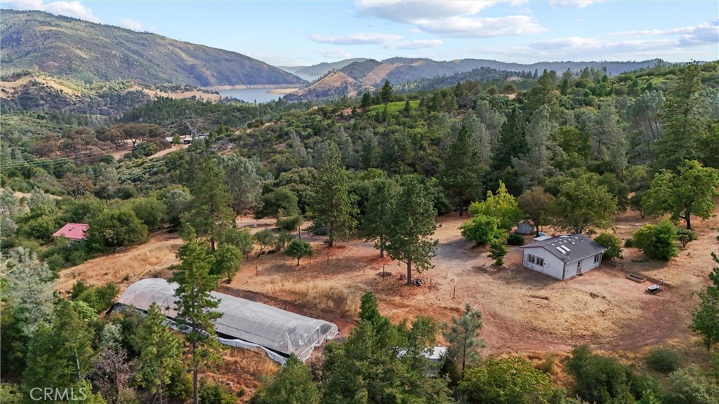 10294 Red Eye Road Property Photo 58