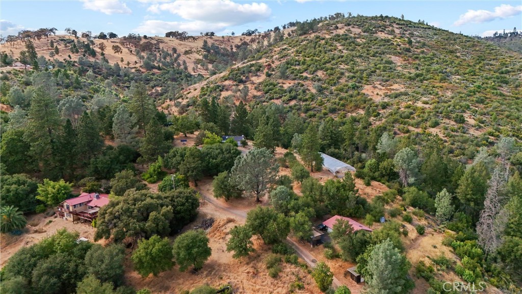 10294 Red Eye Road Property Photo 59