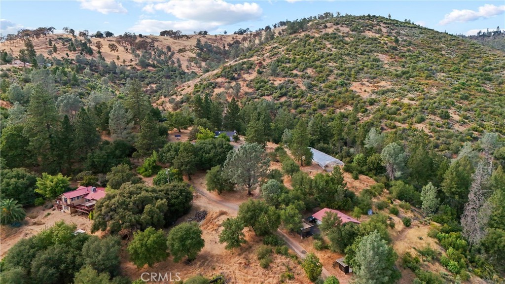 10294 Red Eye Road Property Photo 59