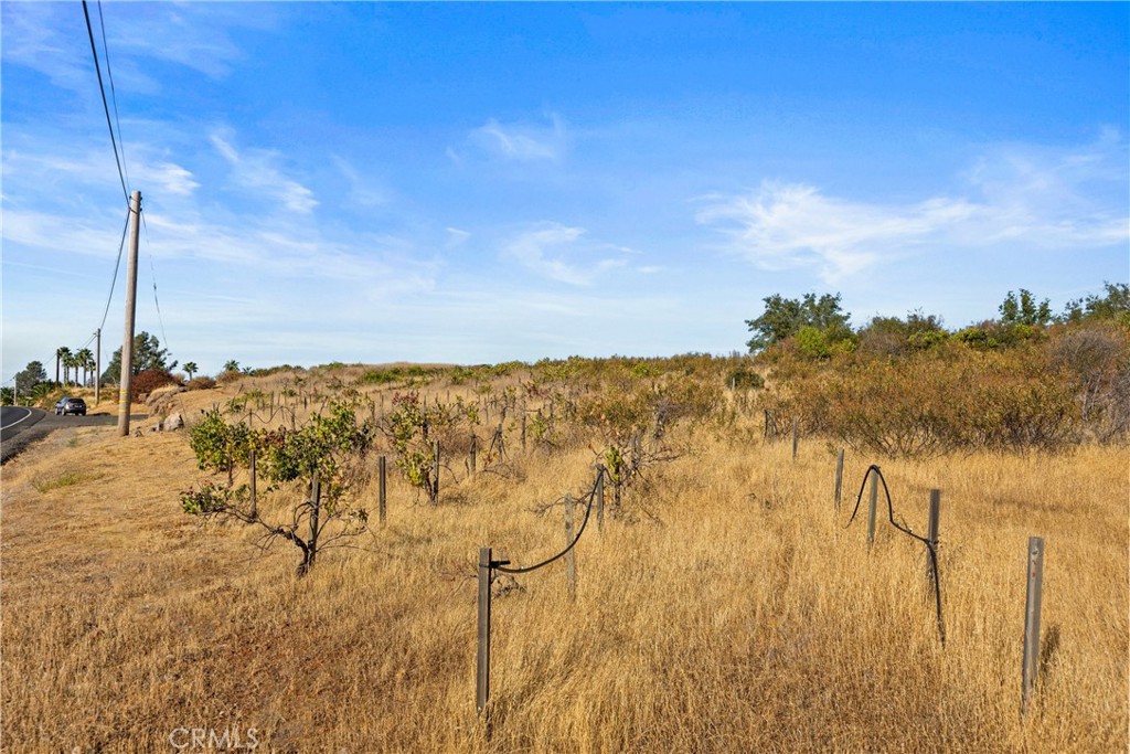 0 Skyway Property Photo 5