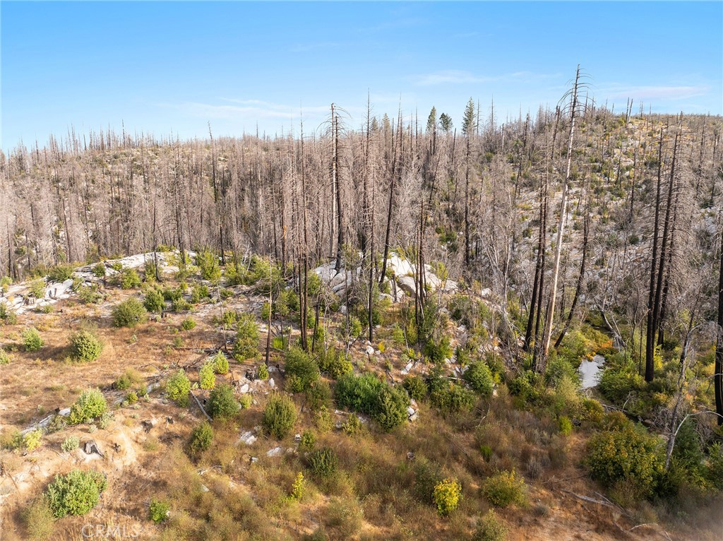 0 & 98 Gamble Road Property Photo 18