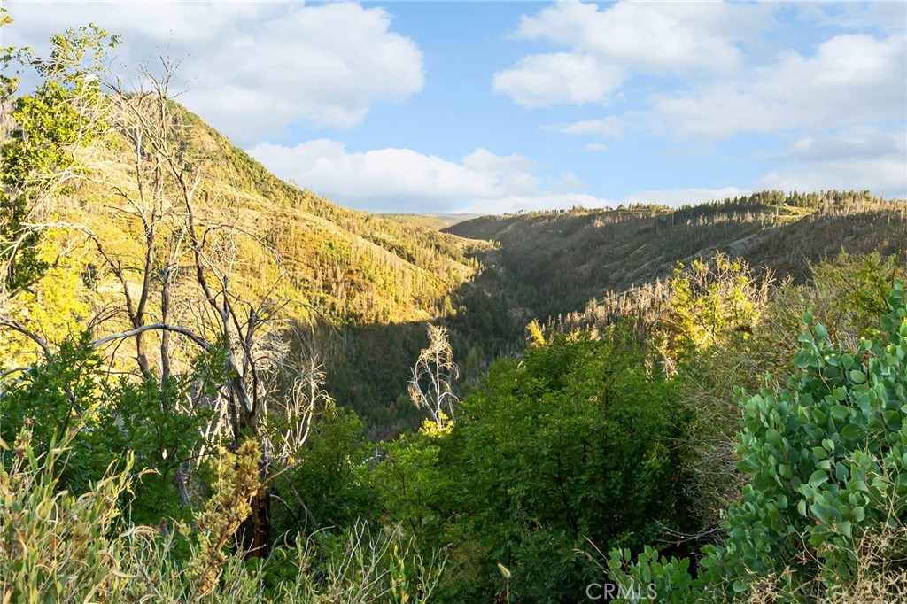 0 Coutolenc Road Property Photo 13