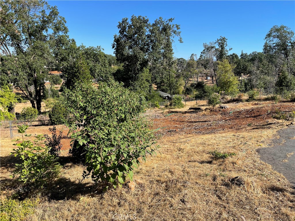 237 Redbud Property Photo 5