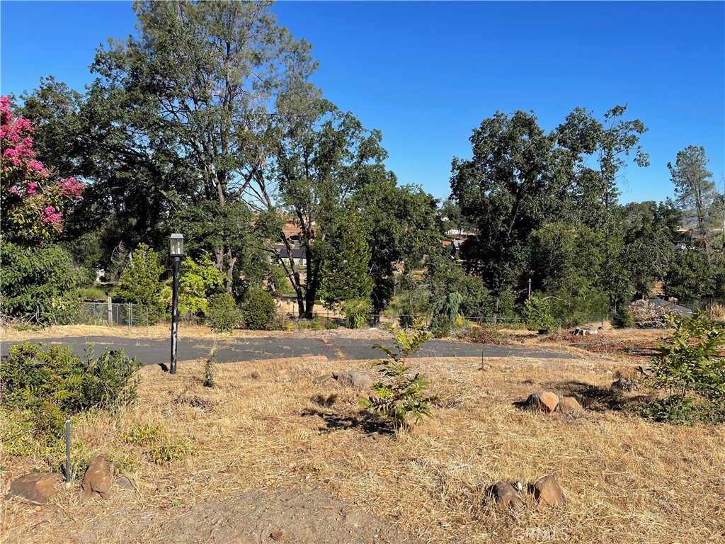 237 Redbud Property Photo 8