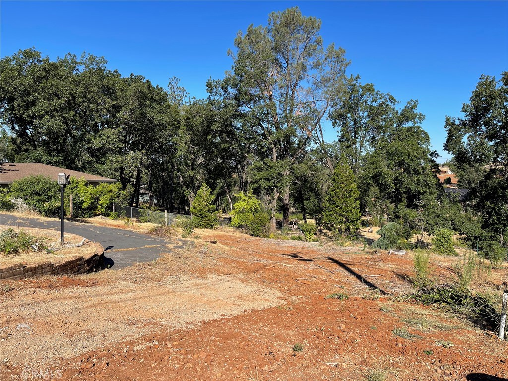 237 Redbud Property Photo 10